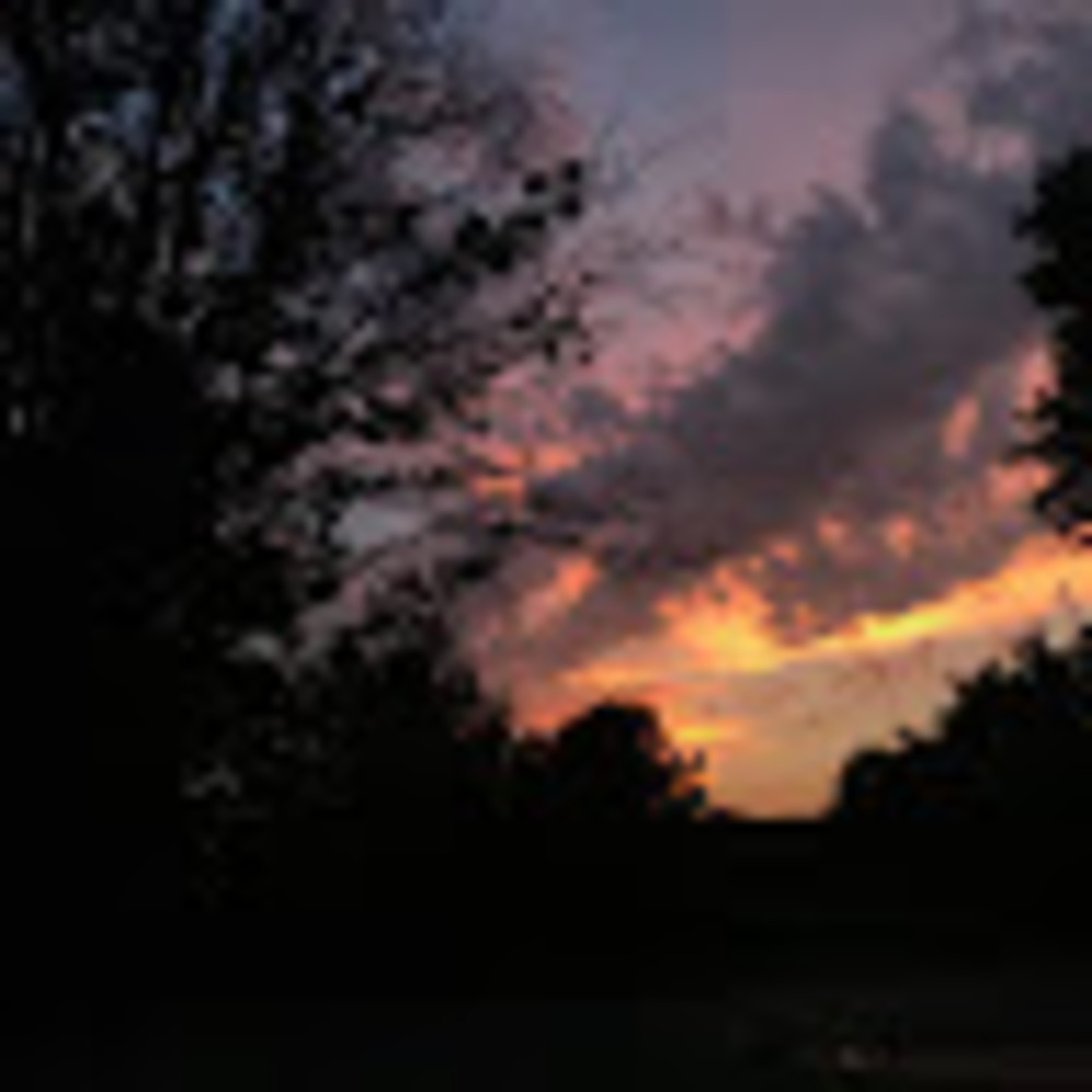 Meet your Posher, Mia